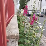 Zola Nantes