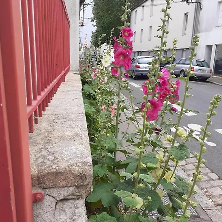 Zola Nantes