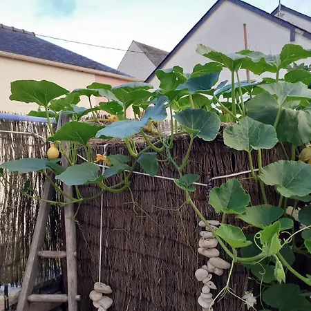 Homestay Zola Nantes