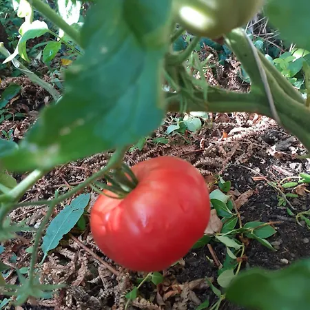 Homestay Zola Nantes