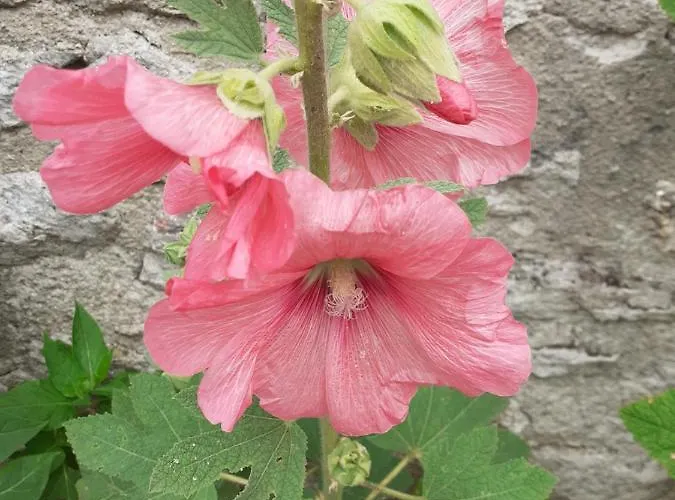 Privatunterkunft Zola *