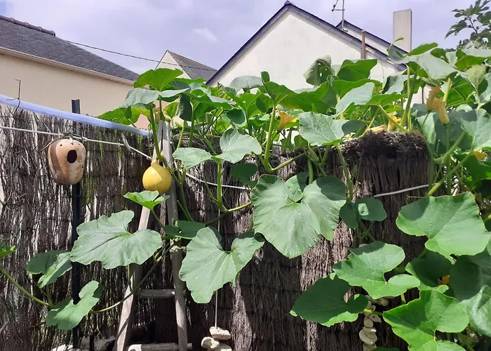 Zola Séjour chez l'habitant