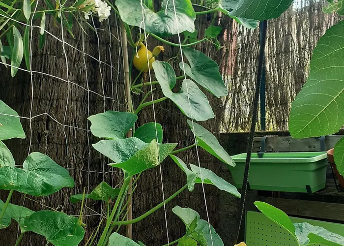 Privatunterkunft Zola *