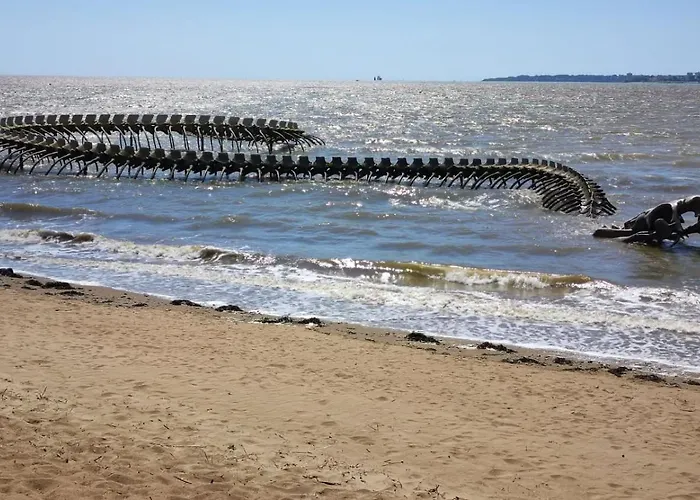 Zola Privatunterkunft Nantes