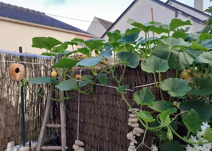 Privatunterkunft Zola Nantes