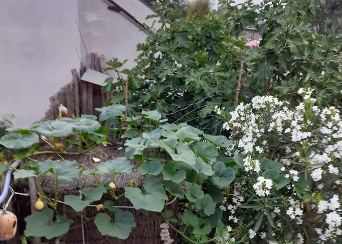 Séjour chez l'habitant Zola