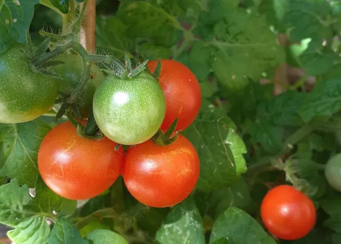 Zola Privatunterkunft