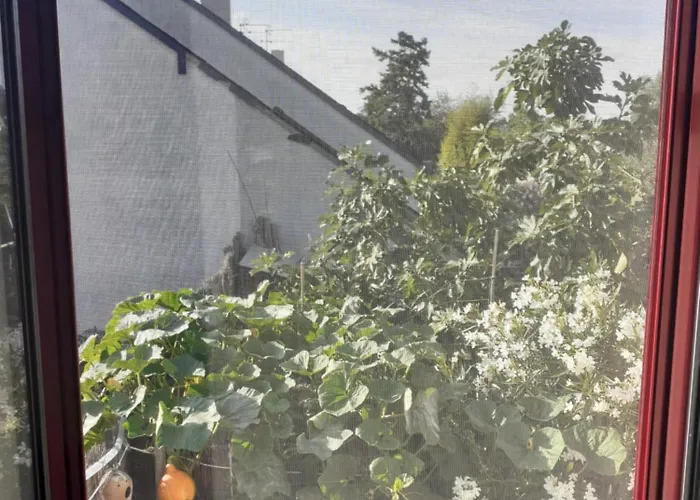 Zola Séjour chez l'habitant *