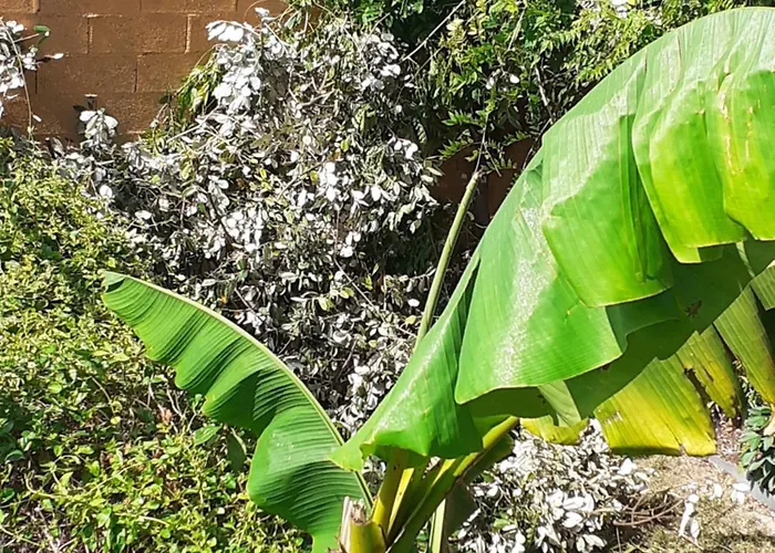 Zola Privatunterkunft