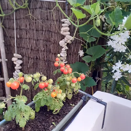 Zola Δωμάτια σε οικογενειακή κατοικία *